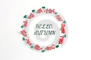 Quote: hello autumn . Frame of red berries on a white background. Simple flat lay composition, fall creative background