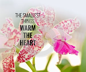 Quote- the smallest things warm the heart