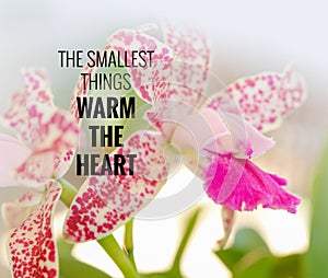 Quote- the smallest things warm the heart photo