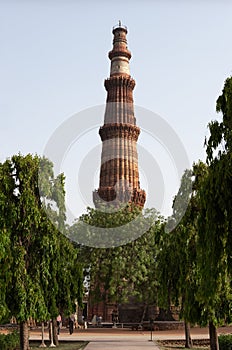 Qutb Minar tower among trees, Delhi, India