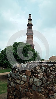 Qutub minar of india longest tree of india