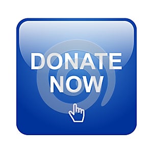 Donate now button