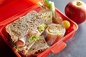 R plastic kids lunch box with healthy food