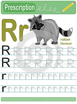 R is raccoon