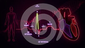 R Wave from Electrocardiogram Wave or ECG or EKG