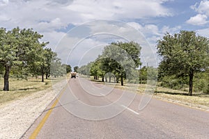 R40 tree-lined road near Timbavati, South Africa