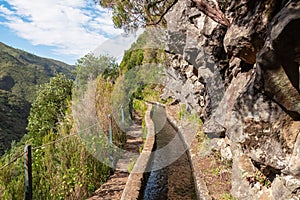 Rabacal - Idyllic Levada walk in ancient subtropical Laurissilva forest of Rabacal, Madeira island, Portugal, Europe