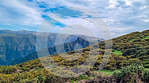 Rabacal - Scenic view of fresh green mountains and hills seen from subtropical Laurissilva forest Rabacal, Madeira island