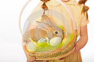 Rabbit in basket easter eggs