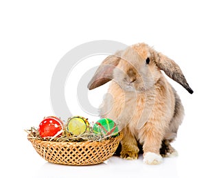 Rabbit with basket easter eggs. isolated on white background