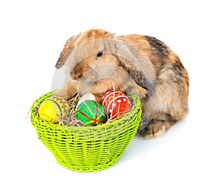 Rabbit with basket easter eggs. isolated on white background