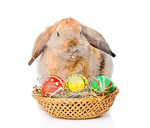Rabbit with basket easter eggs. isolated on white background