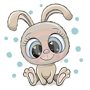 Rabbit with big eyes isolated on a white background