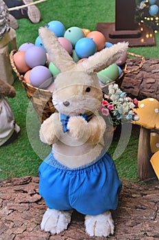 A rabbit in blue shorts in Christmas decoration photo