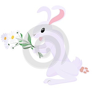 Rabbit with a bouquet of chamomile flowers kneeling