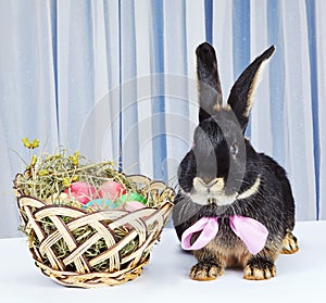 Rabbit with a bow sitting near a basket with Easter eggs