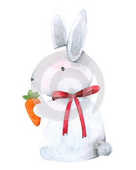 Rabbit Bunny holding carrot watercolor isolated on white background , Hand drawn character for Kids, Greeting Card , Cases design,