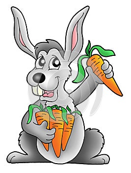 Rabbit with carrot