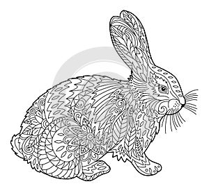 Rabbit coloring page design for adult and children