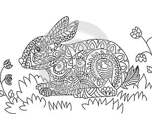 Rabbit coloring vector for adults