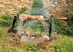 Rabbit cooked on opened fire