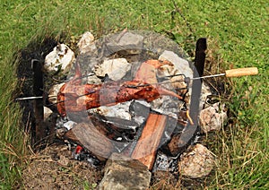 Rabbit cooked on opened fire