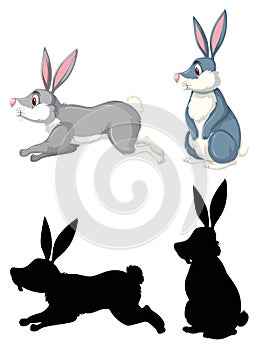 Rabbit in diffrent design