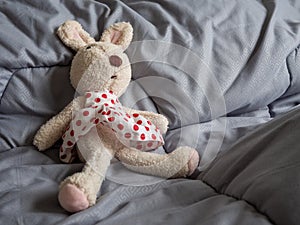 Rabbit doll that was stripped of clothes, statutory rape concept