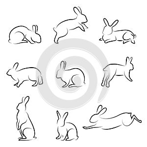 Rabbit drawing set