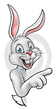 Rabbit or Easter Bunny Pointing