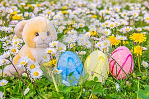 Rabbit and easter eggs