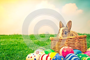 Rabbit and easter eggs in green grass with blue sky ( Filtered i