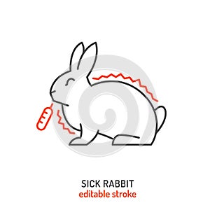 Rabbit fever and lethargy icon. Hyperthermia in rabbits.