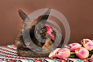 Rabbit with flowers , spring,