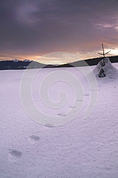 Rabbit foot-prints in snow