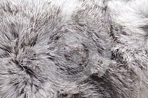 Rabbit fur photo