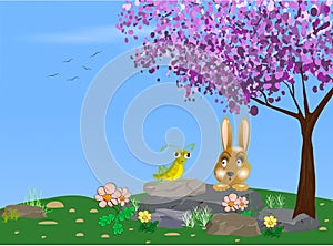 Rabbit and a grasshopper illustration