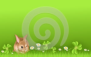 Rabbit on green background