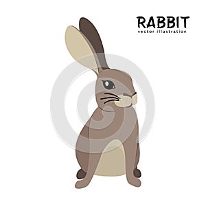 Rabbit hand drawing vector illustration, vintage animal set