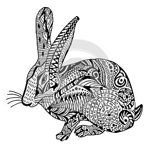 Rabbit Hand drawn sketched vector illustration.