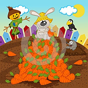 Rabbit harvesting carrot