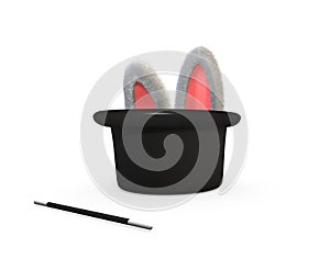 Rabbit in a hat
