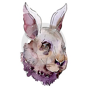 Rabbit head farm animal isolated. Watercolor background illustration set. Isolated rabbit illustration element.