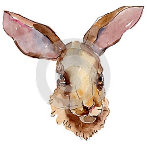 Rabbit head farm animal isolated. Watercolor background illustration set. Isolated rabbit illustration element.