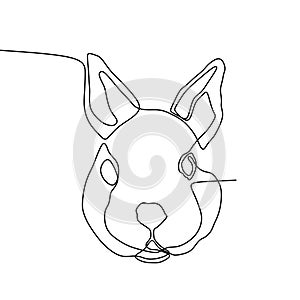 Rabbit head one line drawing