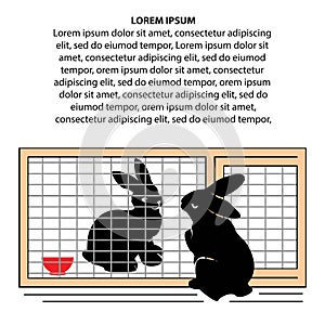 Rabbit helps his friend who is locked in a rabbit cage. Concept of mutual help.