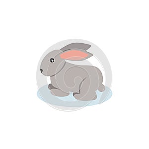 Rabbit icon flat style on white background