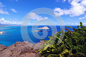 Rabbit Island, known traditionally as MÄnana, windward coast of Oahu, Hawaii