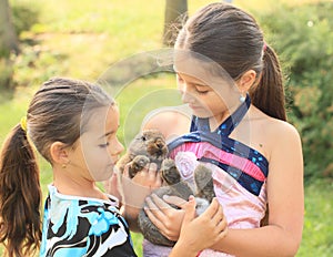 Rabbit in kids hands