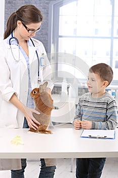 Rabbit of little boy at pets' clinic